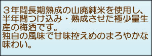 不動 山廃純米梅酒